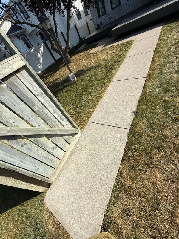 Residential siding after professional soft washing
